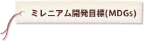 ミレニアム開発目標(MDGs)